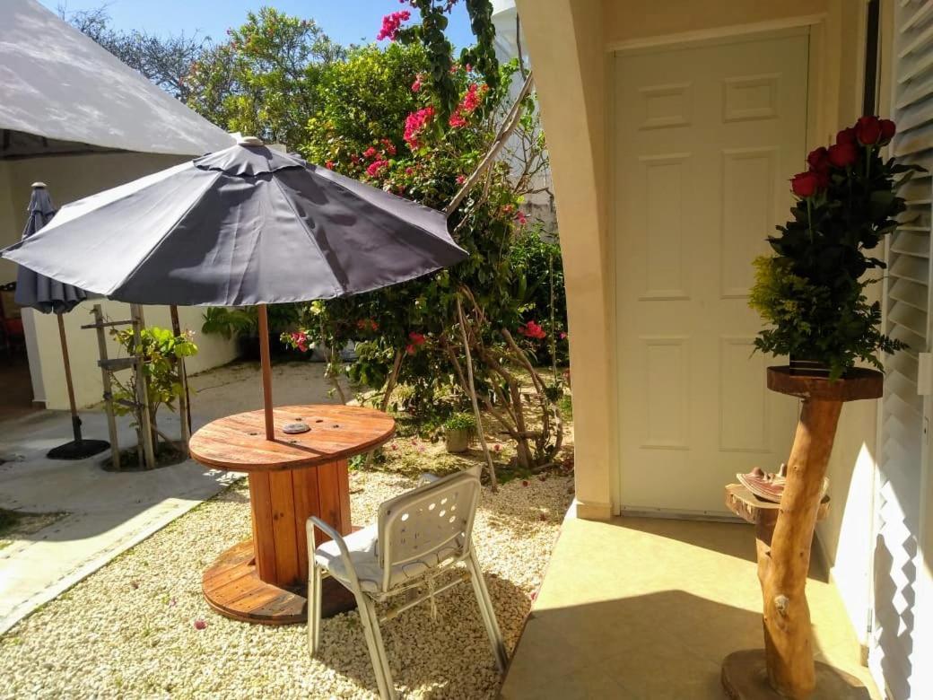 Balanca Studios Puerto Morelos Dış mekan fotoğraf
