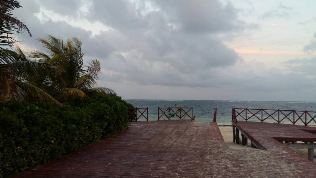 Balanca Studios Puerto Morelos Dış mekan fotoğraf