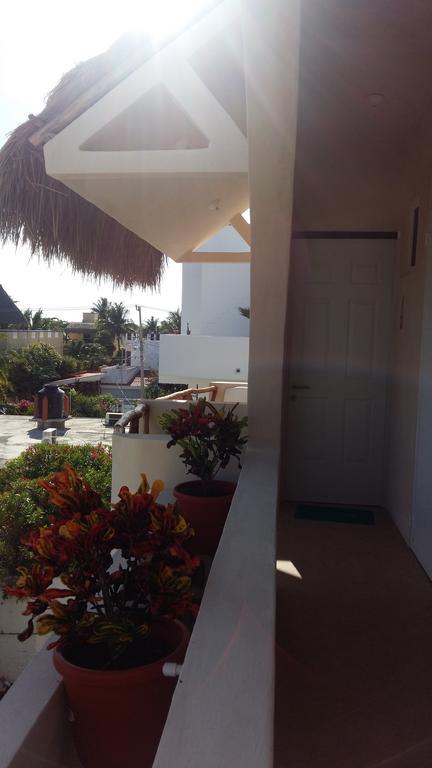 Balanca Studios Puerto Morelos Dış mekan fotoğraf