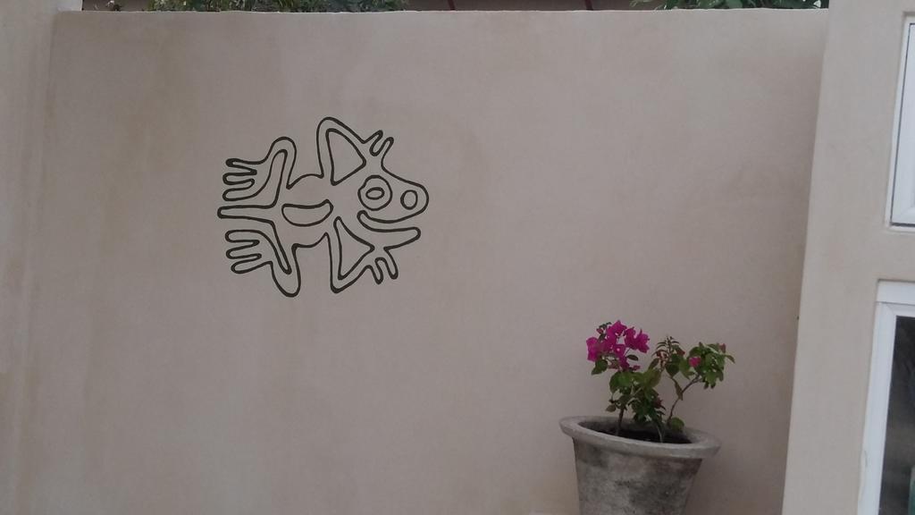Balanca Studios Puerto Morelos Dış mekan fotoğraf